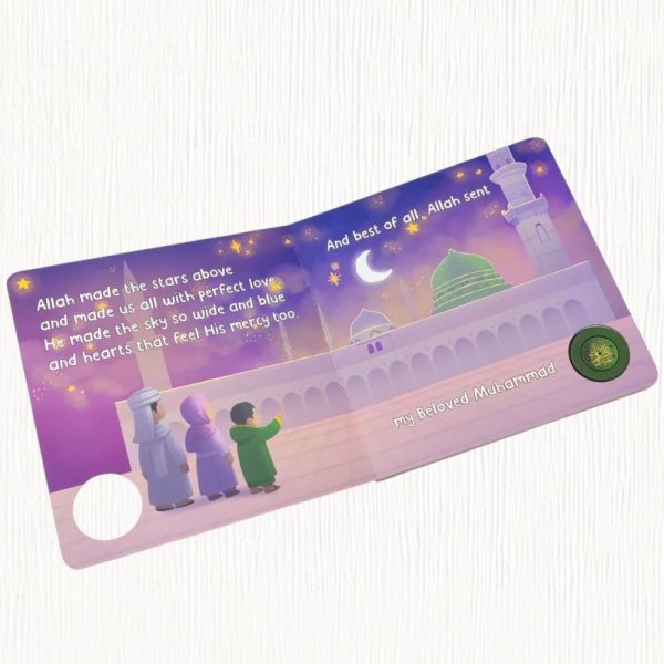 Little Hearts of Madinah Series Boxset